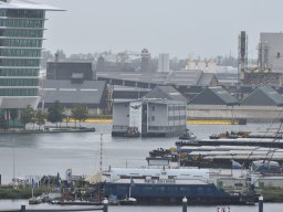 Bonte Zwaan naar dok 1